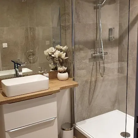 公寓 Chez Karine T4 Terrasse 5eme Etage Centre Wifi Parking *